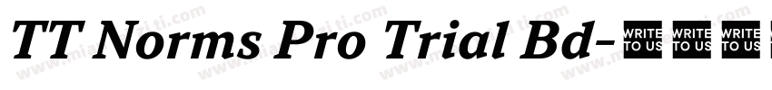 TT Norms Pro Trial Bd字体转换